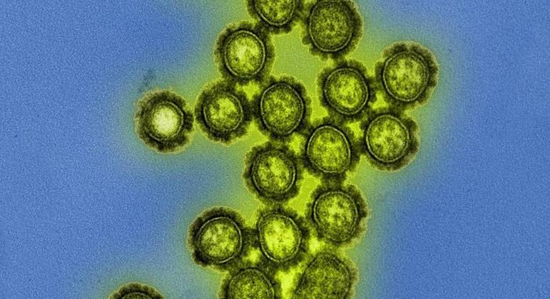 Gripe H3N2 matou cinco pessoas no estado do Rio