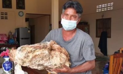 Pescador com vômito de Baleia