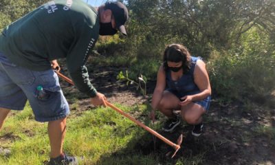 Plantio Praia da Teresa