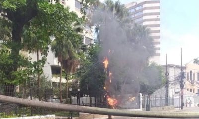 proximidades do Largo dos Leões
