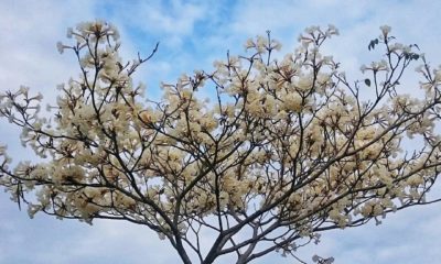 previsão do tempo rio de janeiro