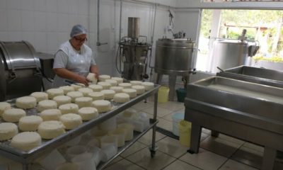 Imagem da fabricação de queijo