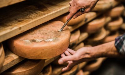 Imagem de queijos especiais com um homem testando