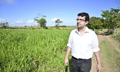 Imagem do Secretário Marcelo Queiroz