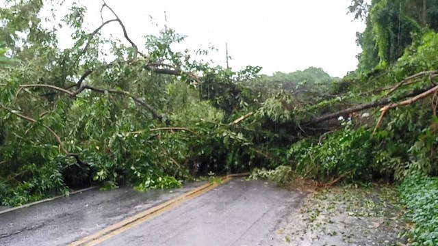 O distrito de Conceição de Jacareí, em Mangaratiba, está isolado, devido à queda de árvores na rodovia Rio-Santos